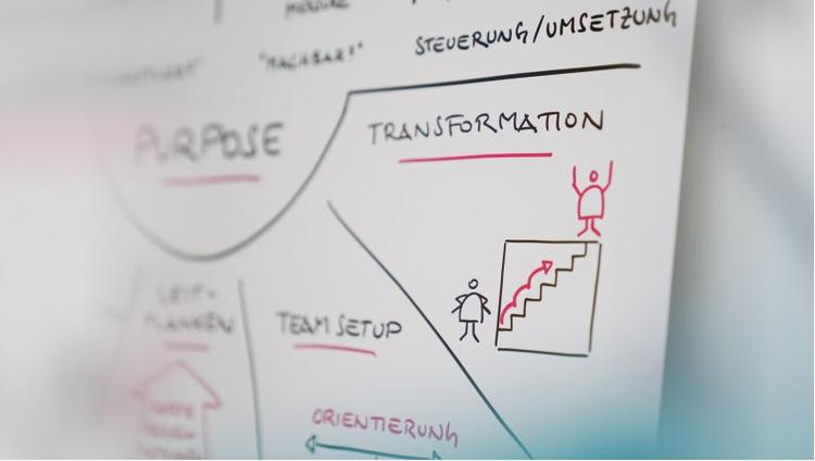 Fokus auf Brainbirds VUCA Poster