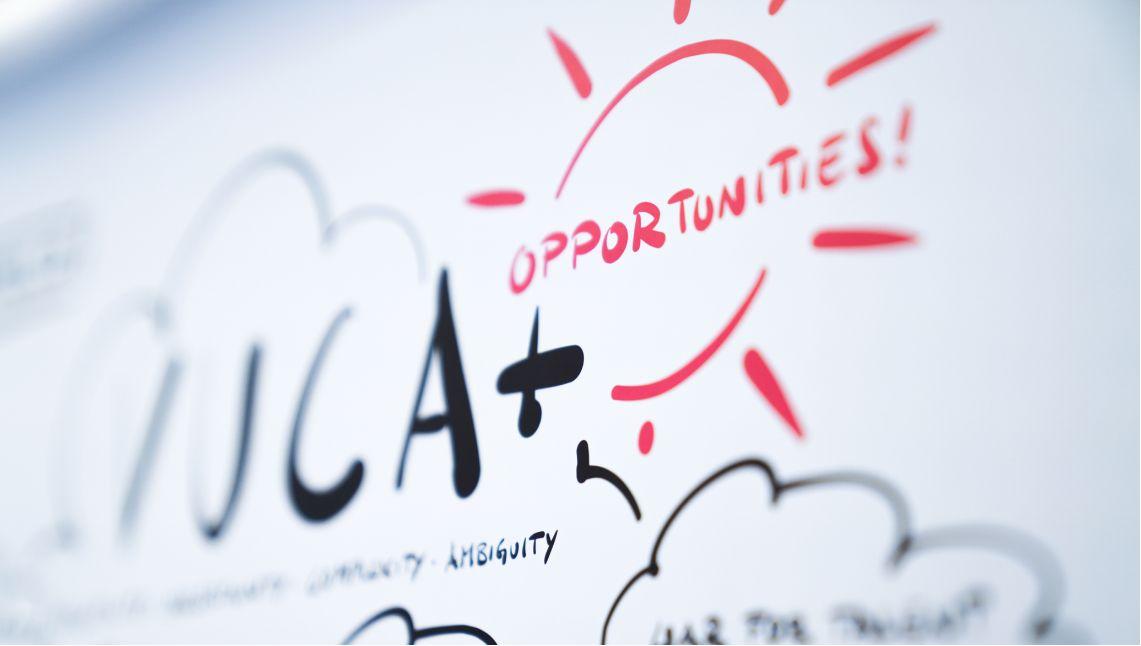 Fokus auf VUCAFokus auf Brainbirds VUCA Chart