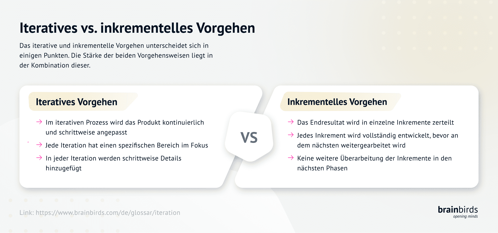 Definition Iteration Brainbirds Glossar